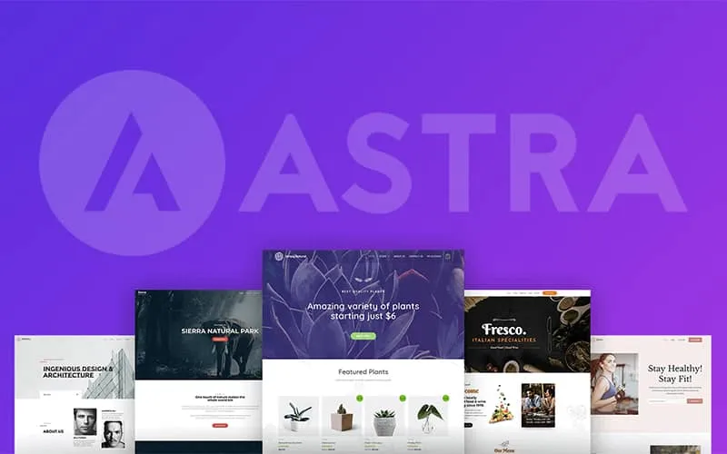 asta affordable wordpress themes